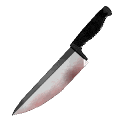 A blood-stained knife.